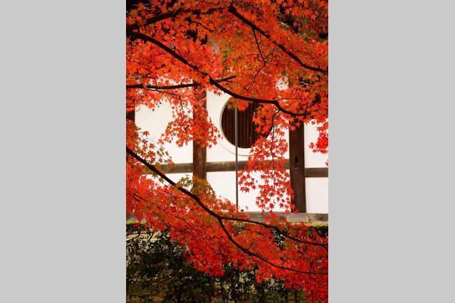 קיוטו Art Stay In Tofukuji מראה חיצוני תמונה